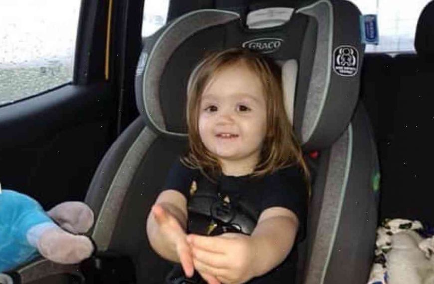 Search for Indiana toddler suspended after her father is rescued